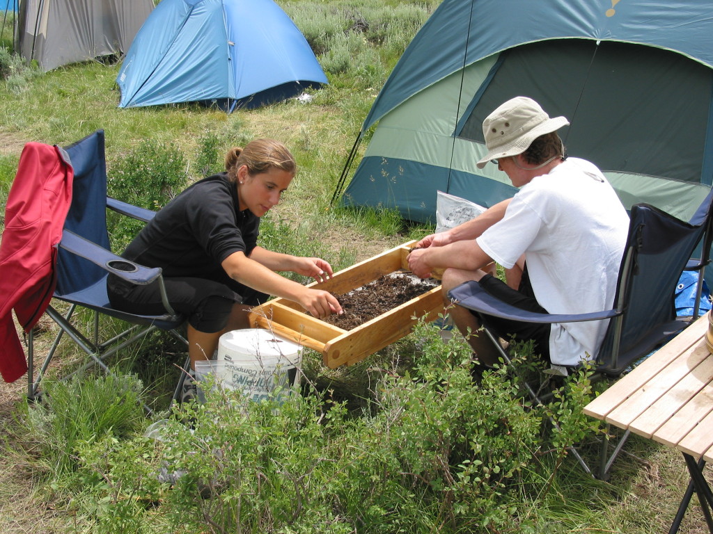 Earthwatch Institute enables ordinary people to work alongside scientists. In 2013, Earthwatch scientists and volunteers completed nearly 135,000 hours of research, on over 50 expeditions, across 57 countries on six continents.