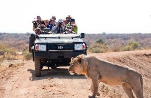BikeToursDirect is offering a safari of Namibia by bicycle and train to learn first-hand about "the greatest wildlife recovery story ever told."