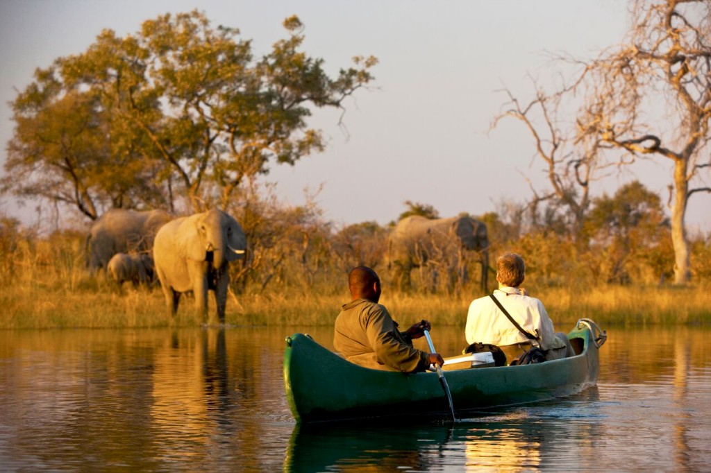 Natural Habitat Adventures is introducing an exclusive new safari adventure aboard a privately chartered deluxe riverboat cruising the Chobe and Zambezi rivers beginning in June 2016.